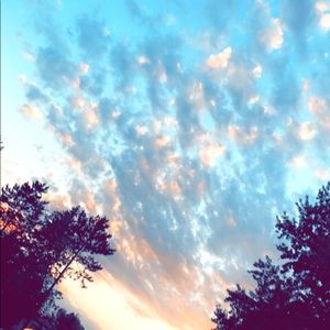 Meet your Posher, Molly